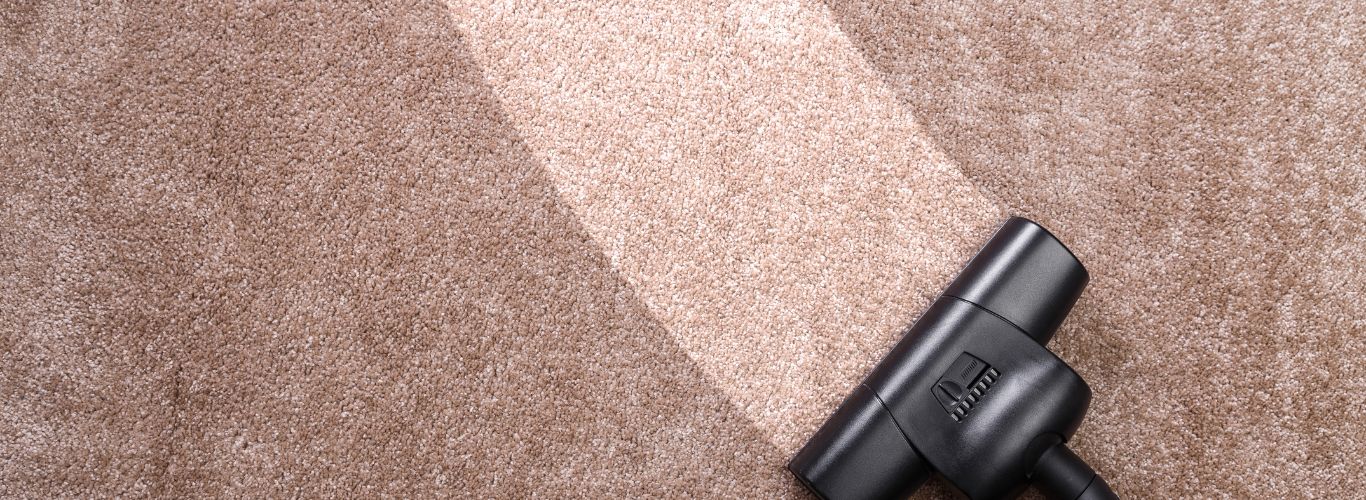 Carpet Cleaning