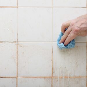 Bathroom Cleaning